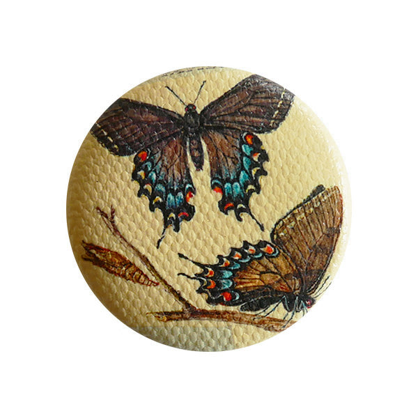 MARIPOSA MUSEO