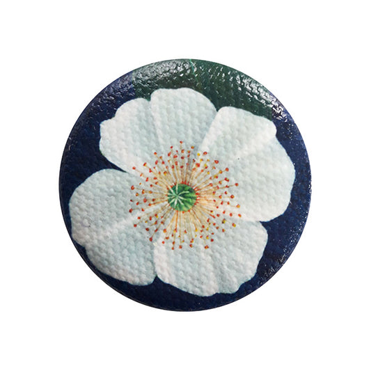 FLOR DE ULMO