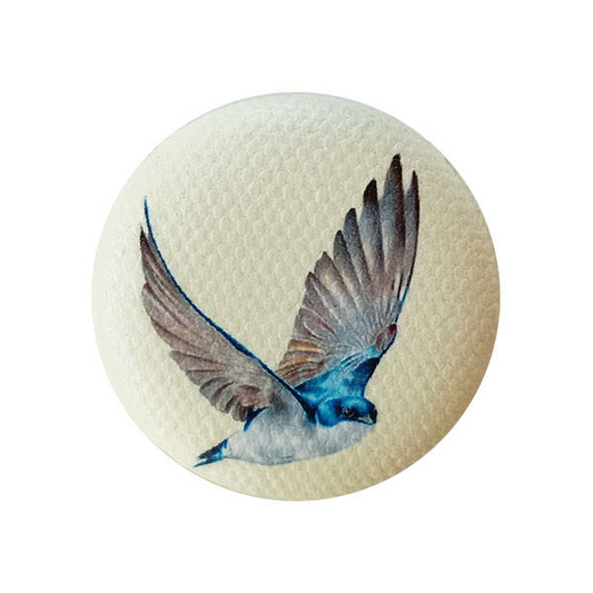 GOLONDRINA